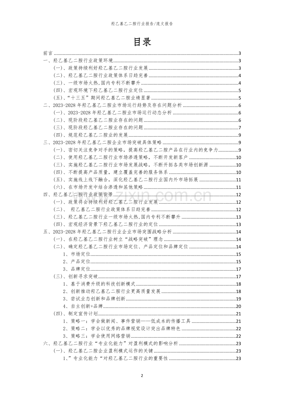 2023年羟乙基乙二胺行业洞察报告及未来五至十年预测分析报告.docx_第2页