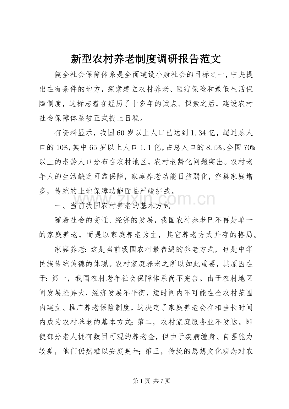 新型农村养老规章制度调研报告范文.docx_第1页