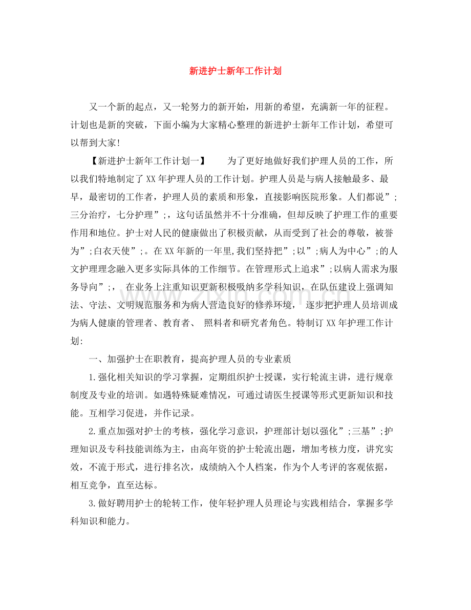 新进护士新年工作计划 .docx_第1页