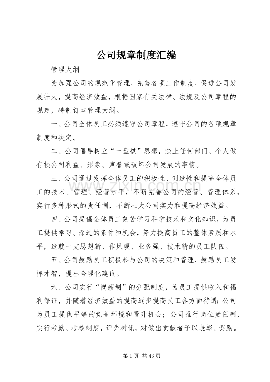 公司规章规章制度细则汇编 (2).docx_第1页