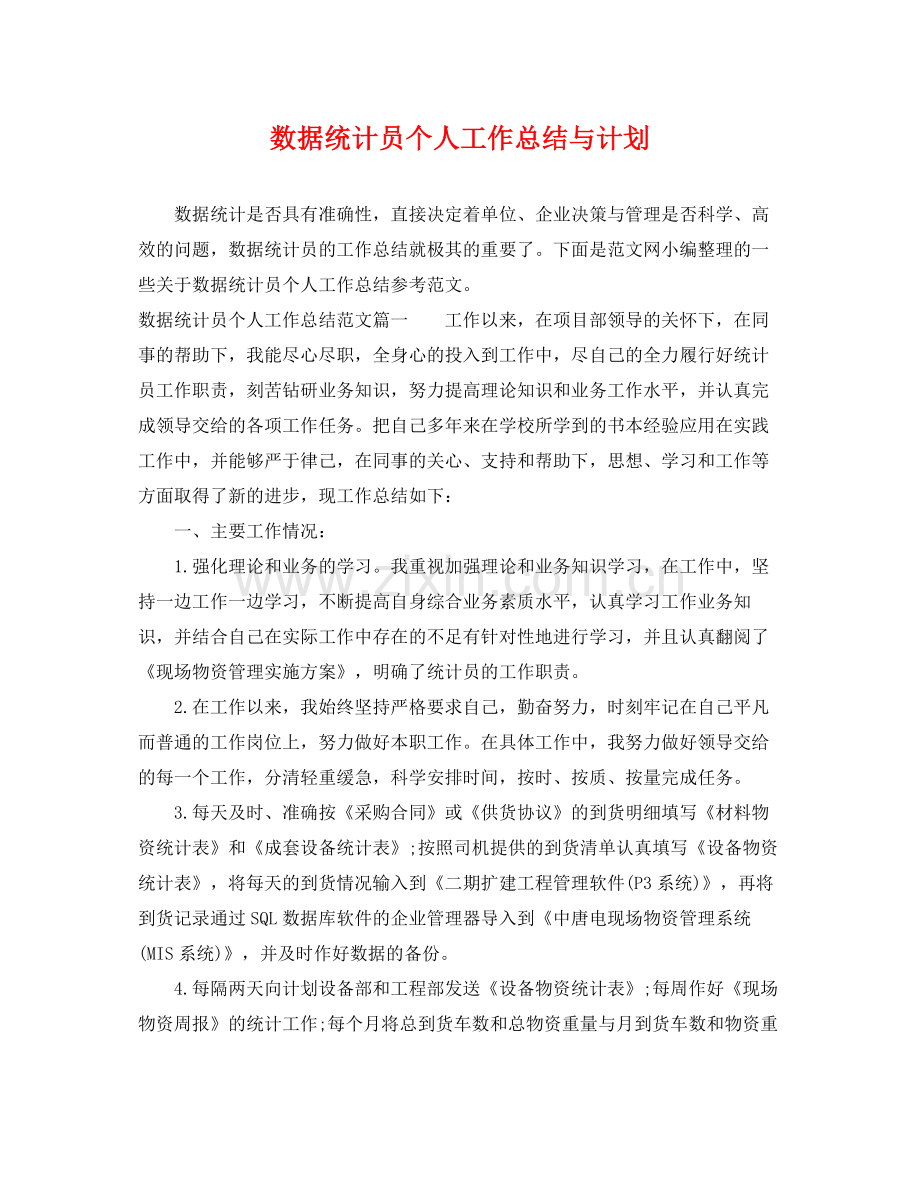 数据统计员个人工作总结与计划 .docx_第1页