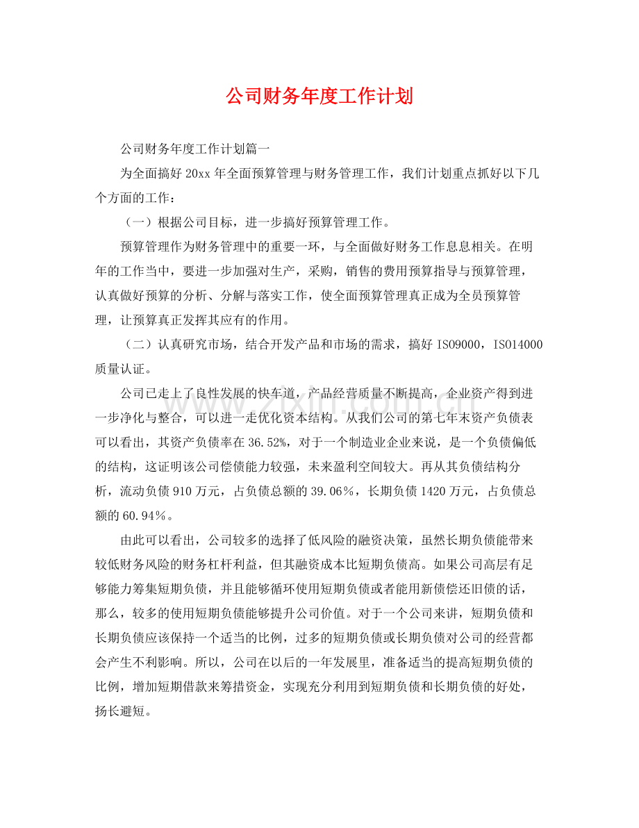 公司财务年度工作计划 .docx_第1页