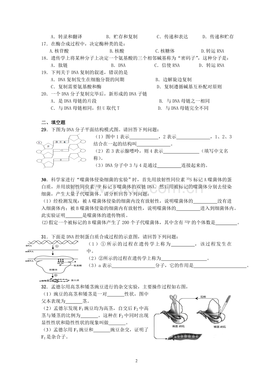 高二生物会考复习练习题(必修二.doc_第2页