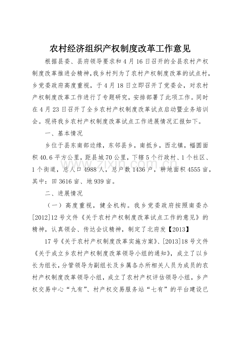 农村经济组织产权规章制度细则改革工作意见.docx_第1页