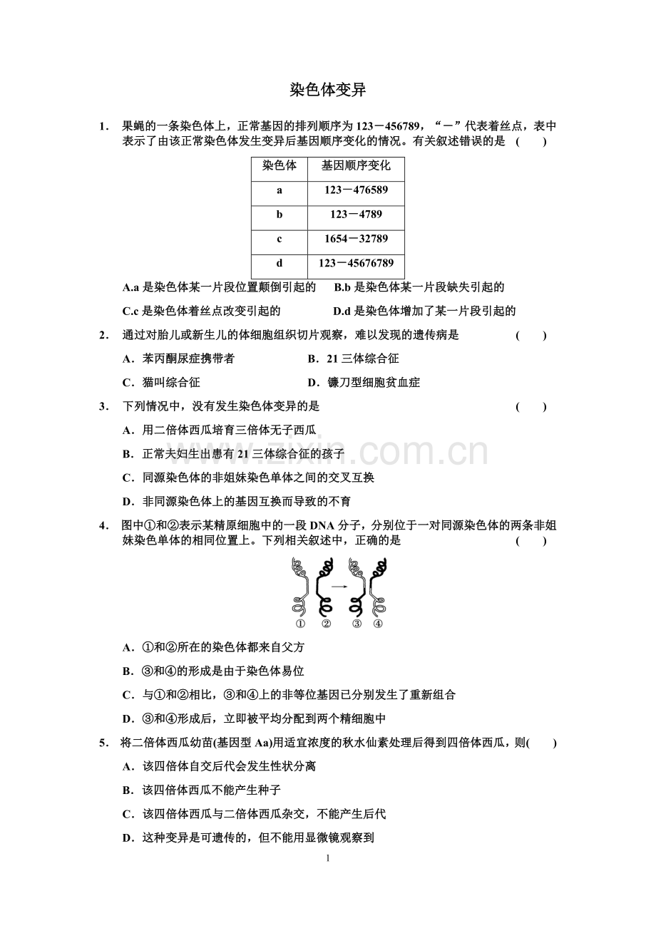 染色体变异.docx_第1页