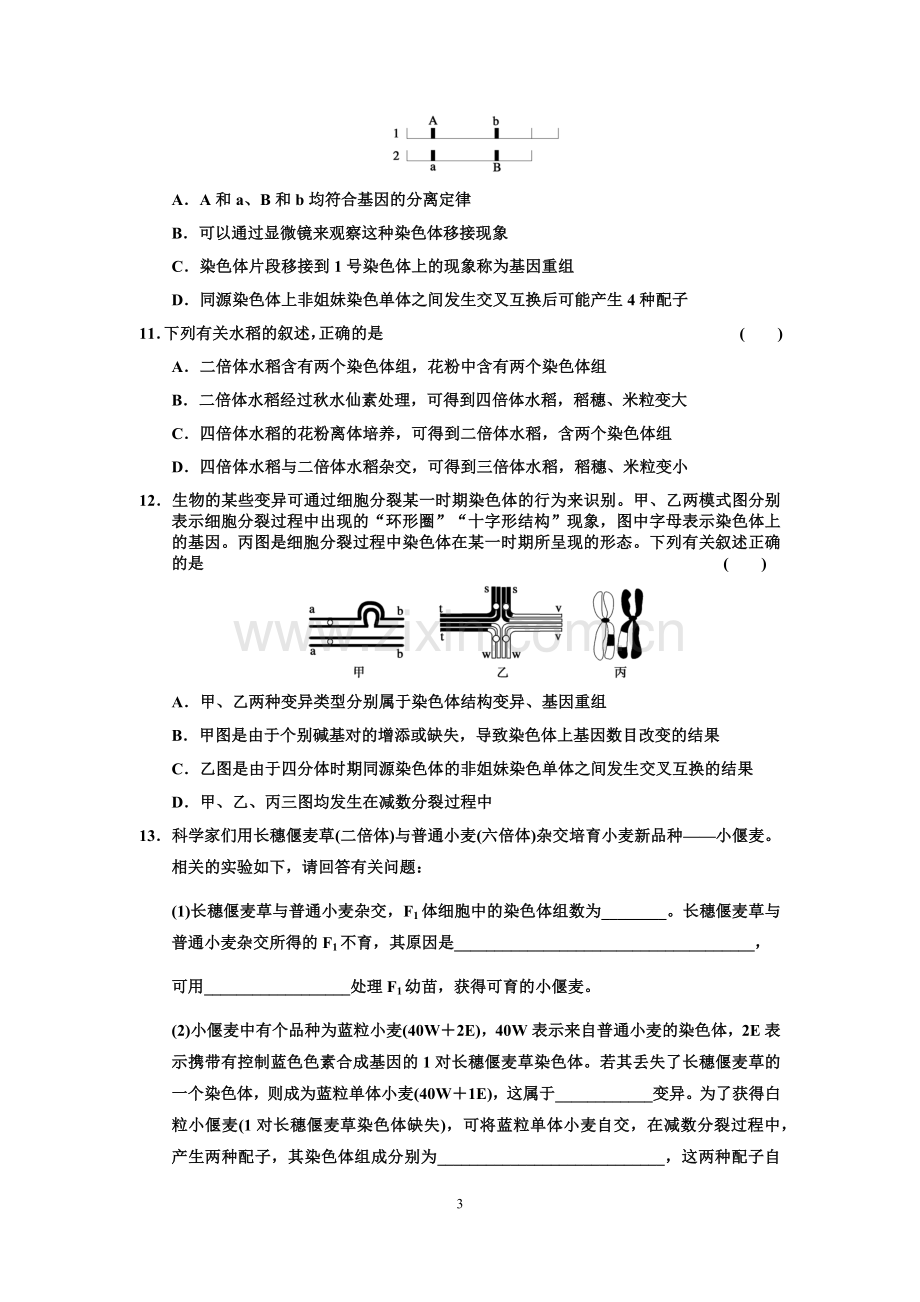 染色体变异.docx_第3页