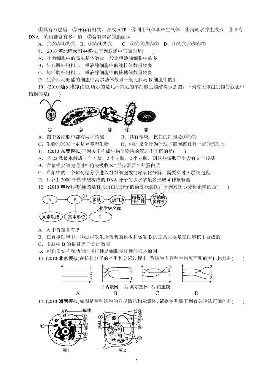 宁远二中高三生物竞赛试卷.doc_第2页