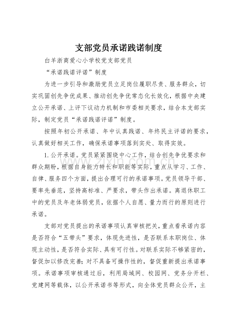 支部党员承诺践诺规章制度细则.docx_第1页