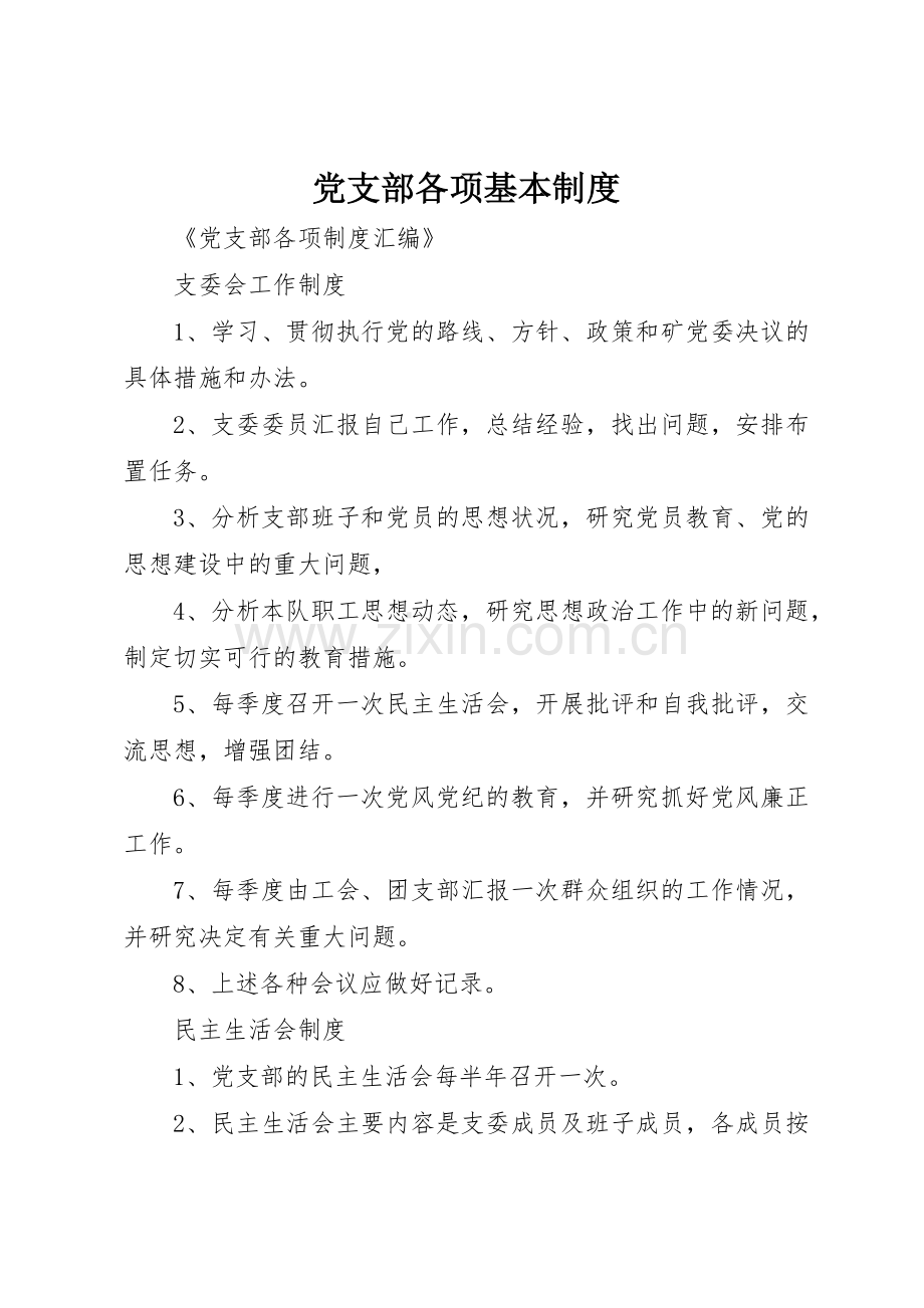 党支部各项基本规章制度细则.docx_第1页