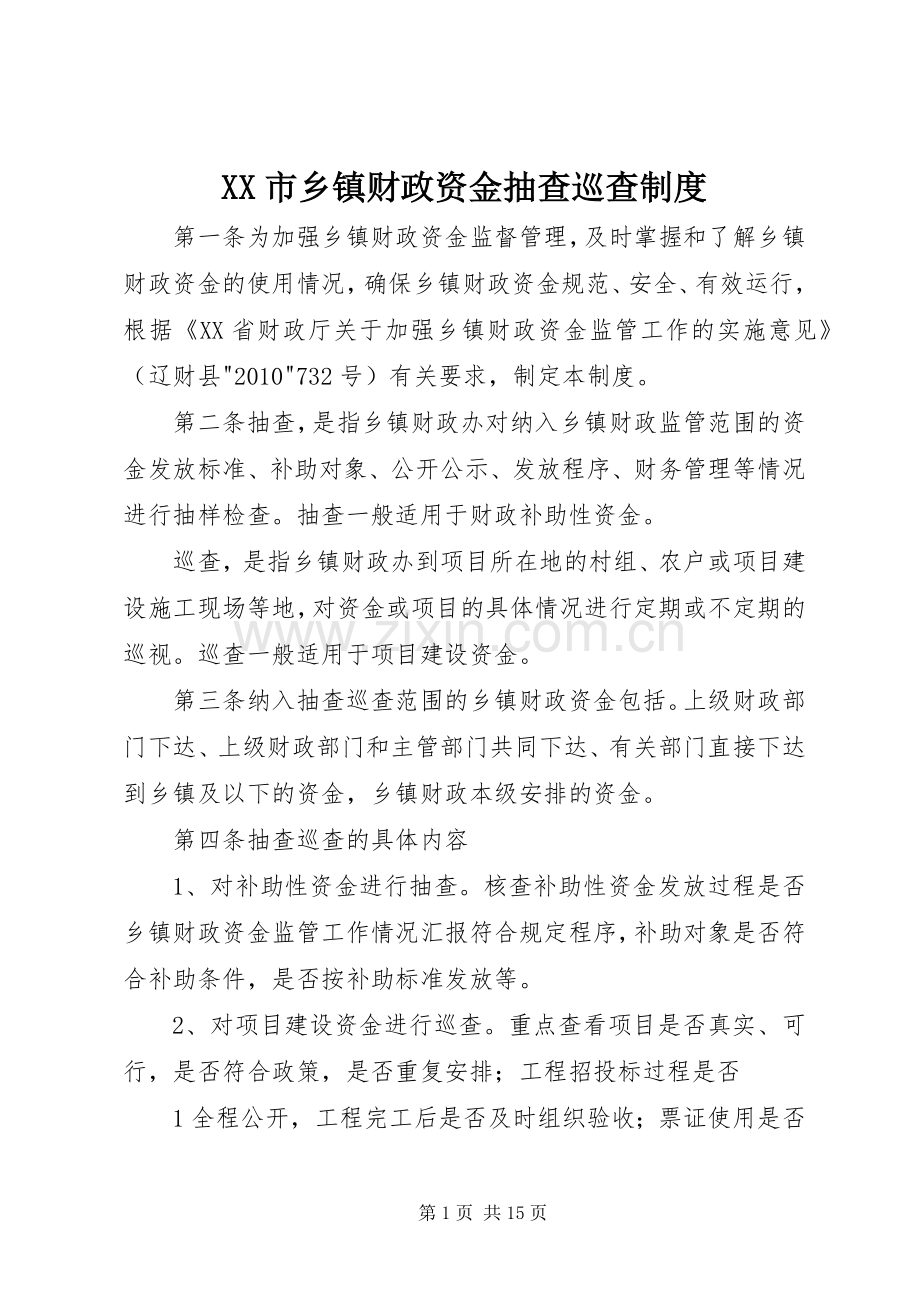 市乡镇财政资金抽查巡查规章制度.docx_第1页