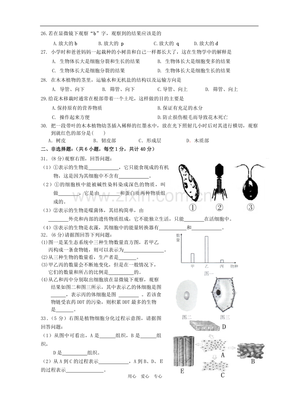 七年级生物第一学期第二次月考试卷(无答案)-人教新课标版.doc_第3页