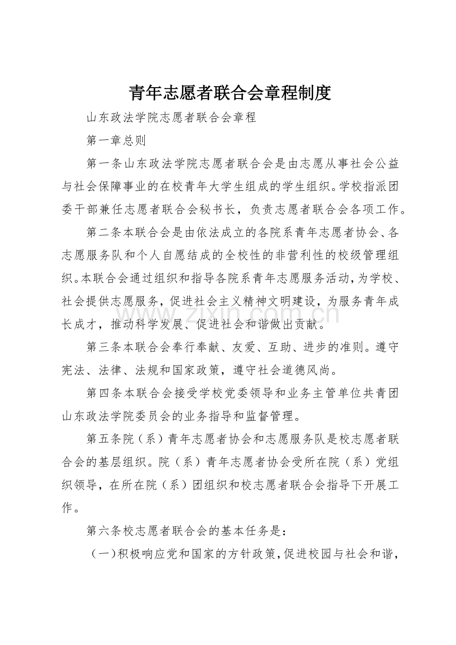 青年志愿者联合会章程管理规章制度.docx_第1页