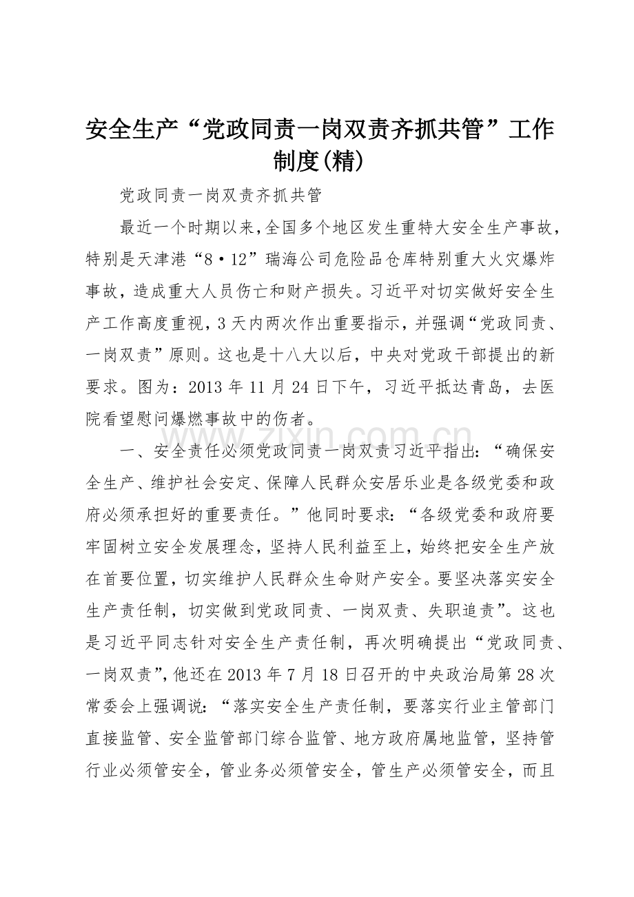 安全生产“党政同责一岗双责齐抓共管”工作规章制度细则.docx_第1页