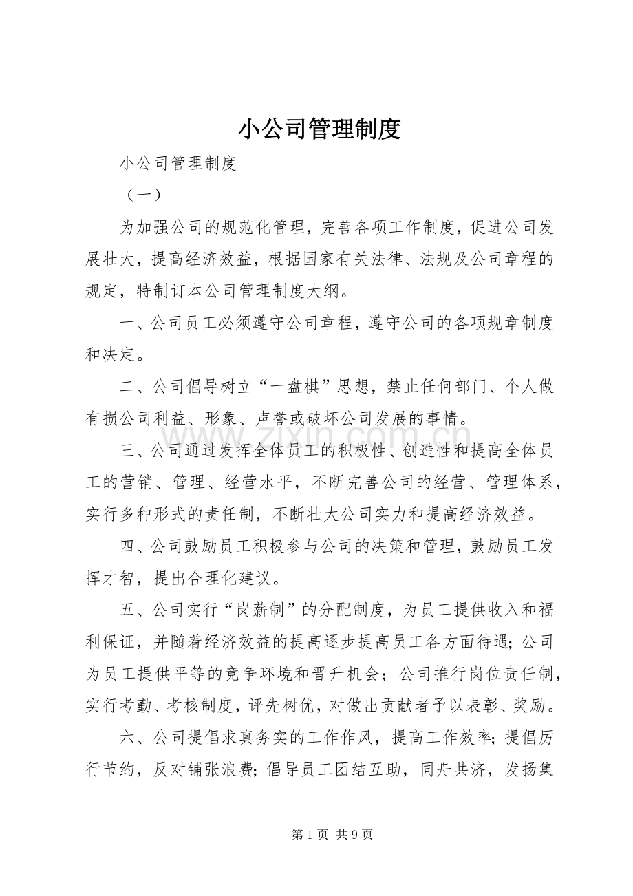 小公司管理规章制度 .docx_第1页