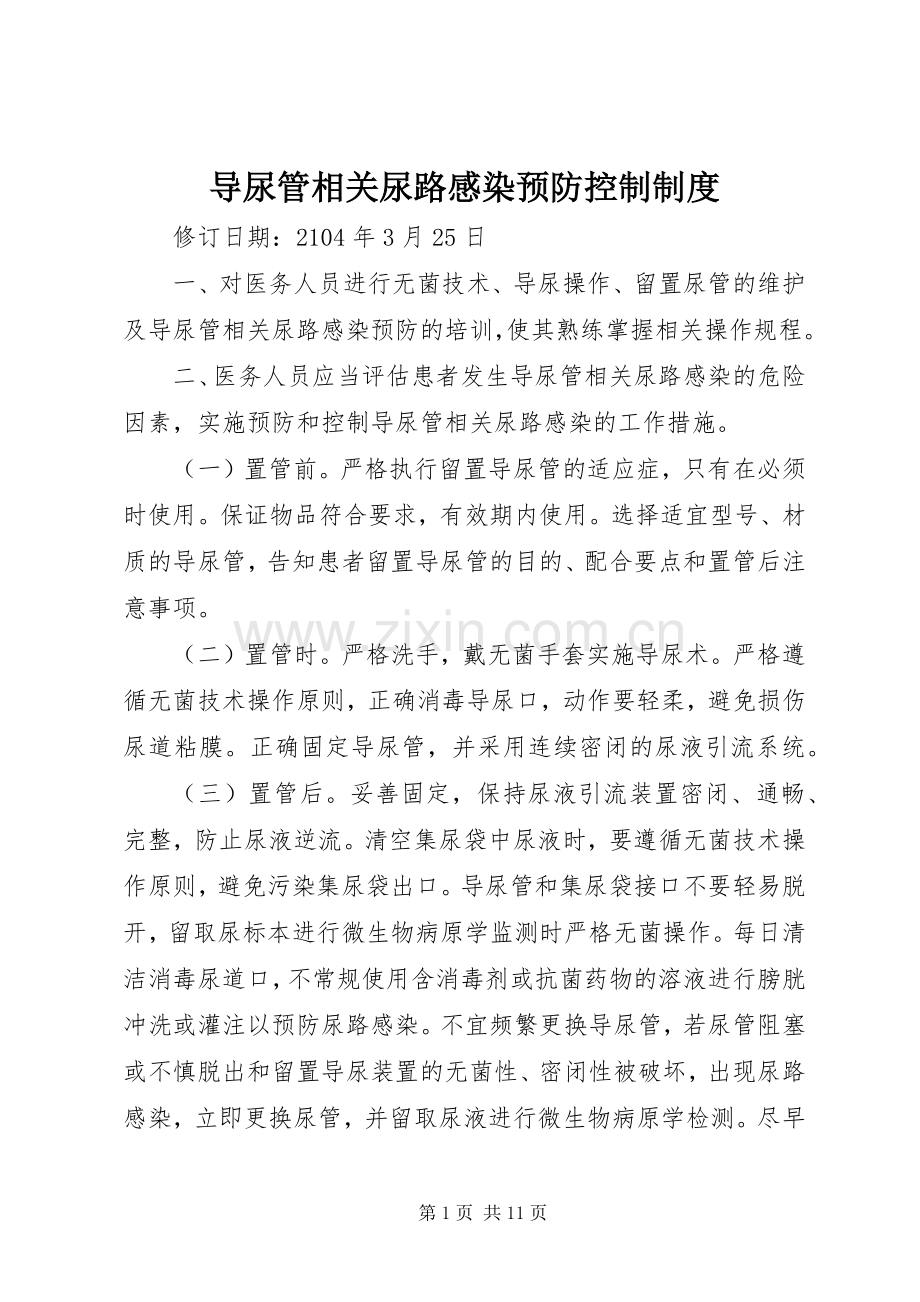 导尿管相关尿路感染预防控制规章制度.docx_第1页