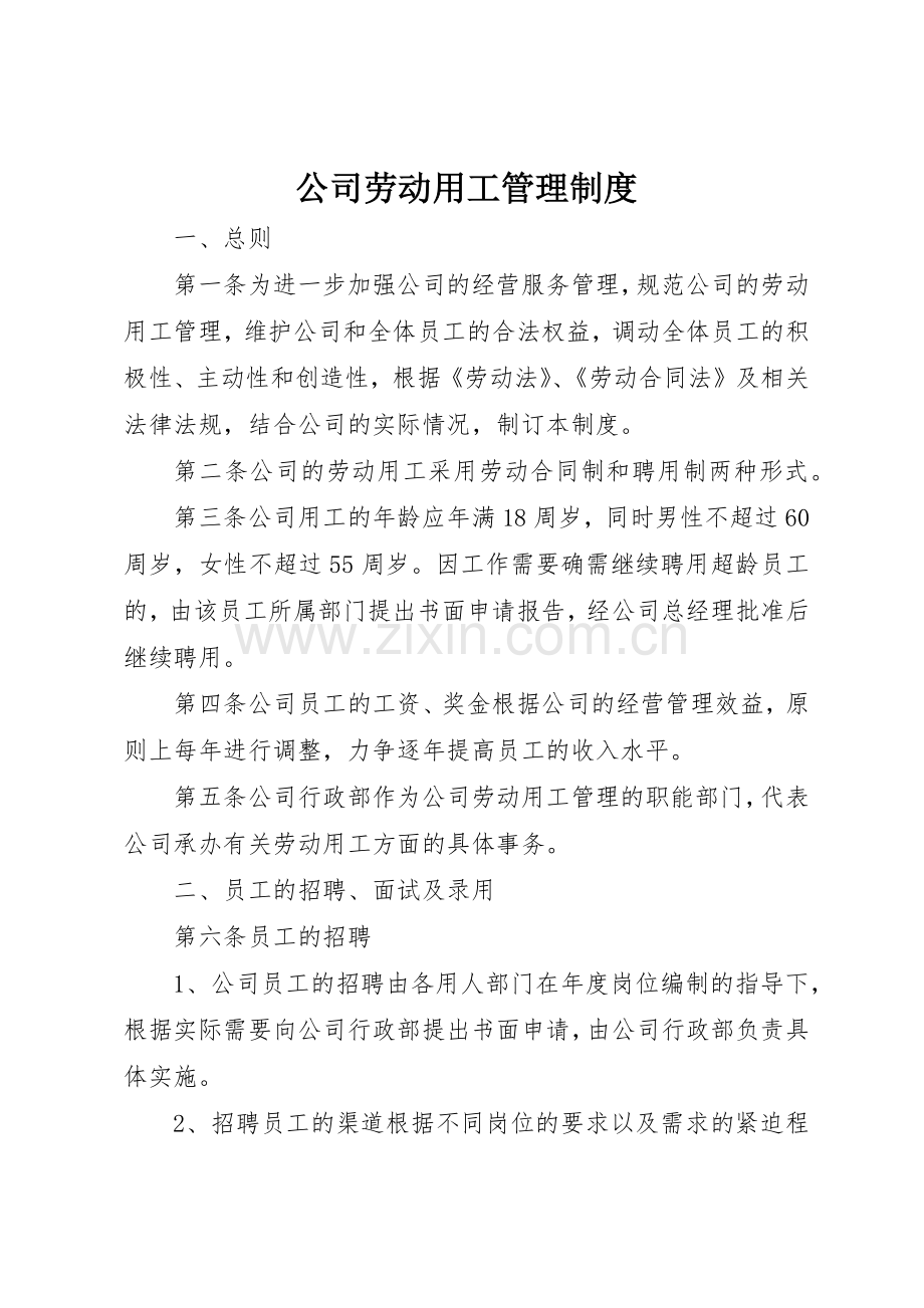 公司劳动用工管理规章制度 .docx_第1页