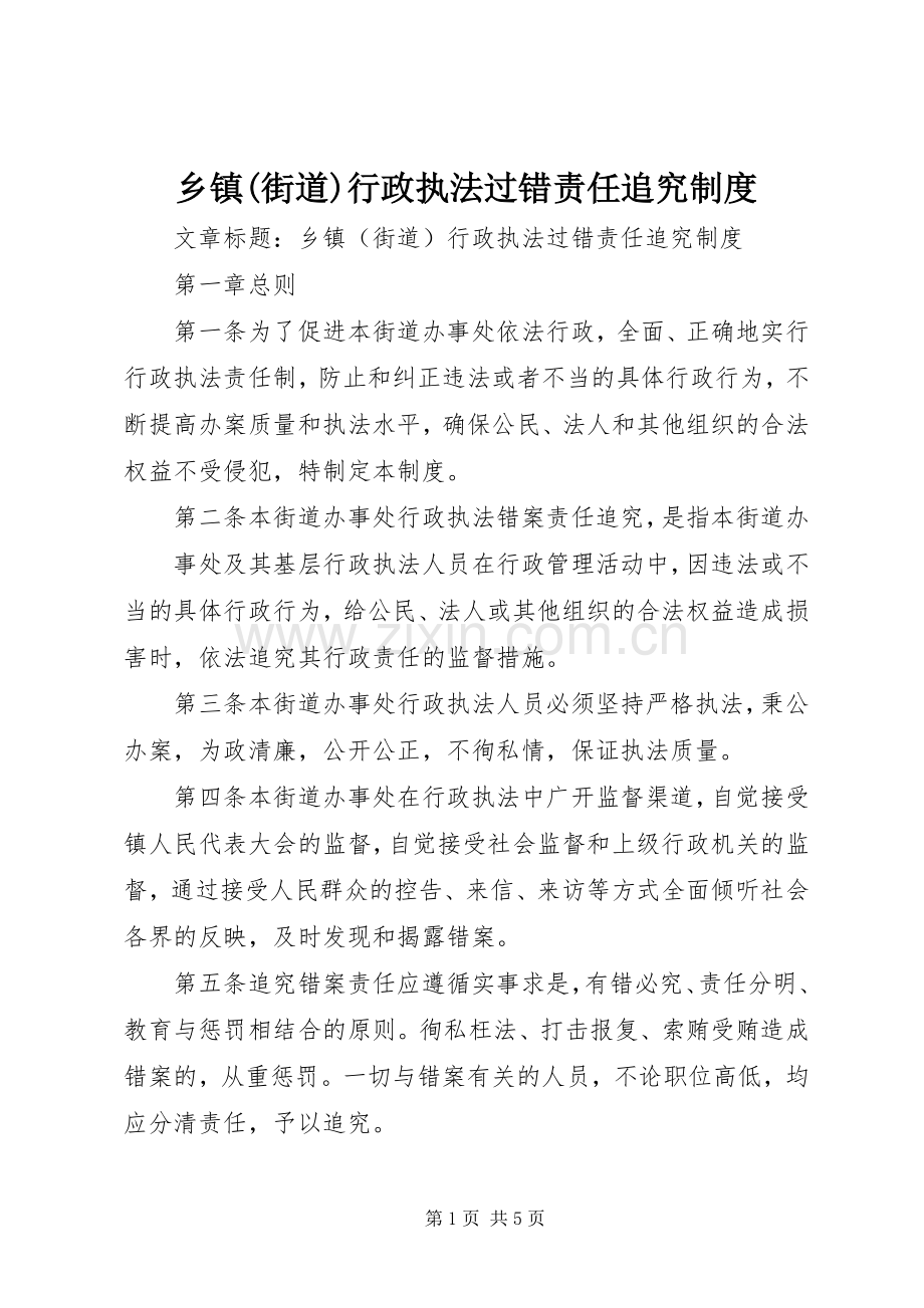 乡镇(街道)行政执法过错责任追究规章制度(2).docx_第1页