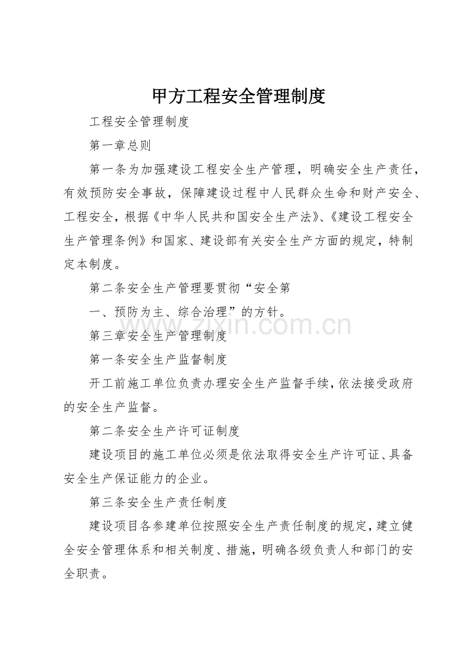 甲方工程安全管理规章制度细则.docx_第1页