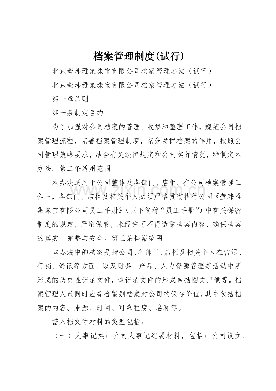 档案管理规章制度细则(试行).docx_第1页