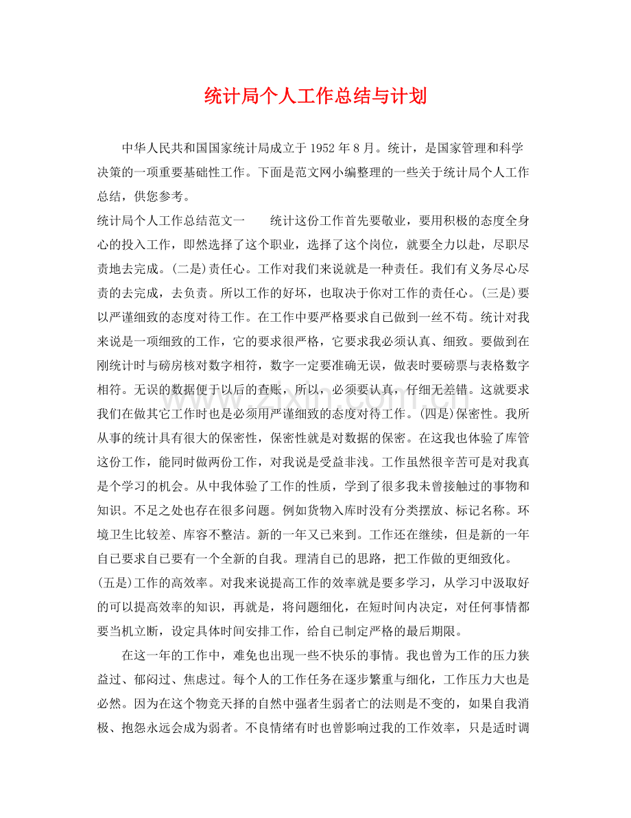 统计局个人工作总结与计划 .docx_第1页