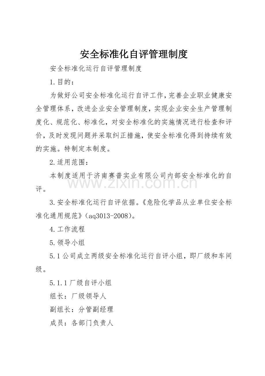 安全标准化自评管理规章制度细则.docx_第1页