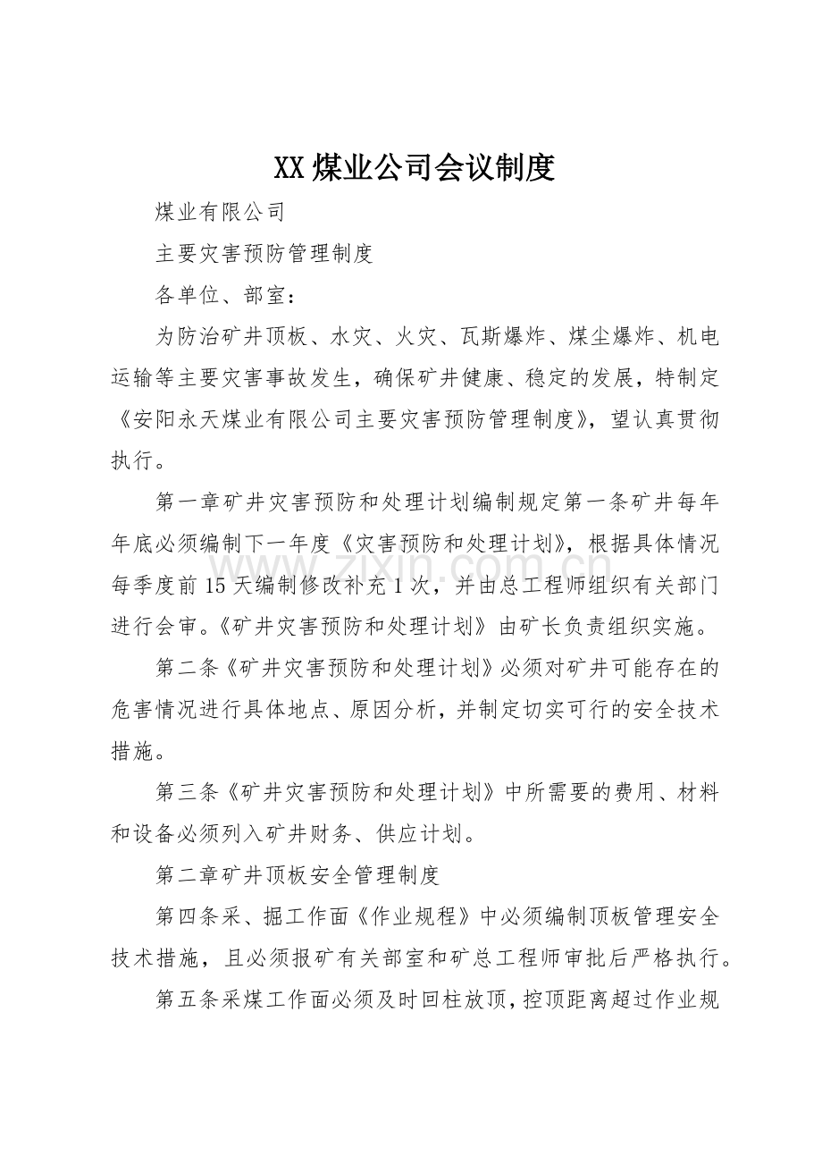 煤业公司会议管理规章制度.docx_第1页