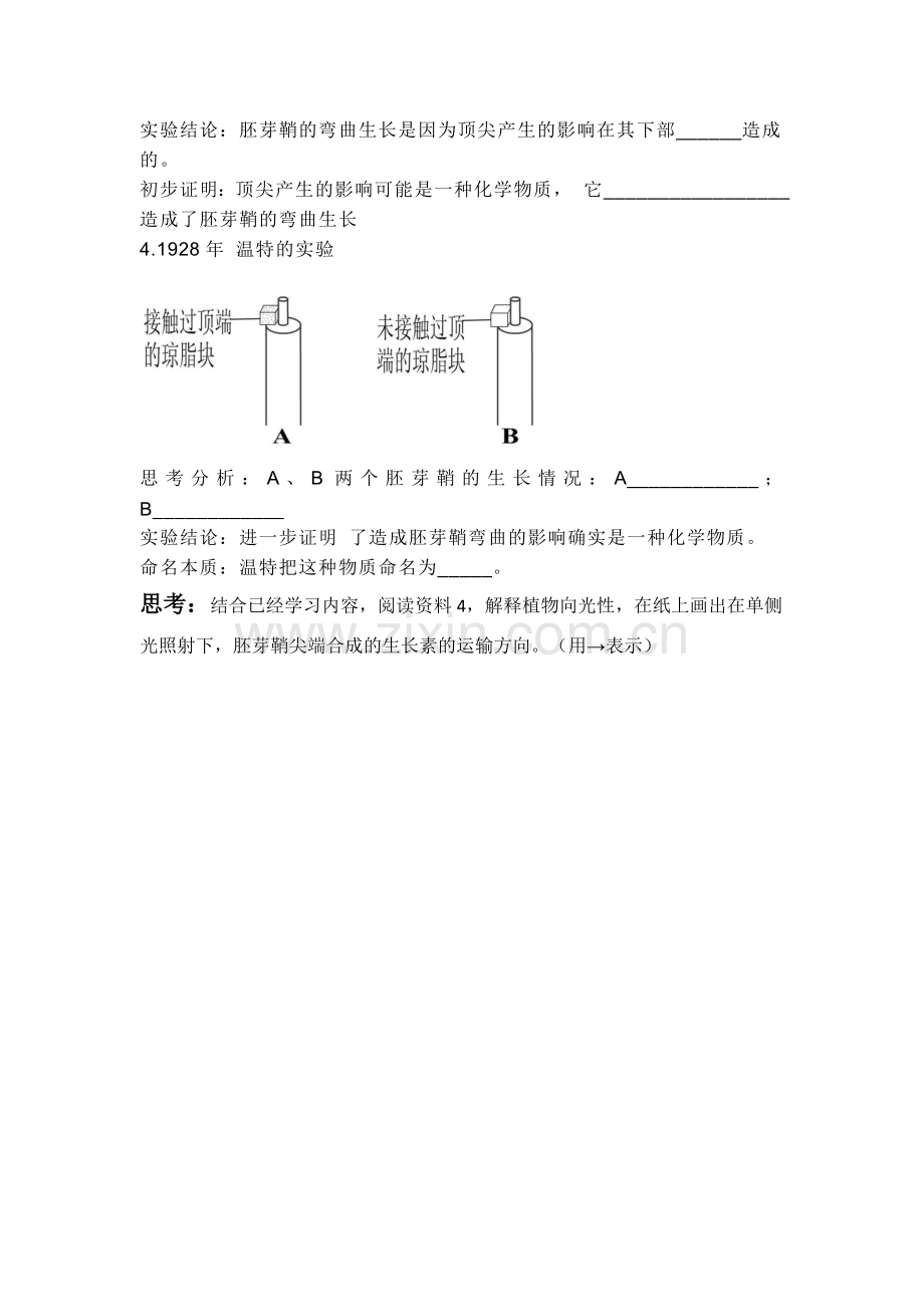 植物生长素的发现-(4).docx_第2页