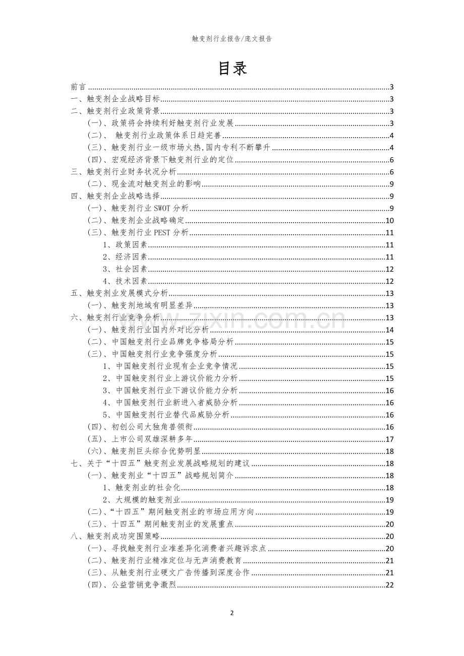 2023年触变剂行业市场突围建议及需求分析报告.docx_第2页