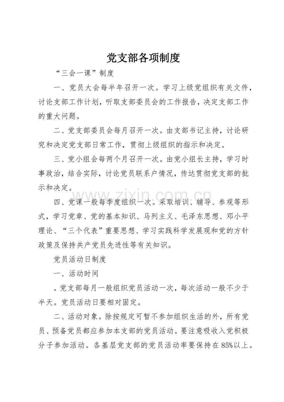 党支部各项规章制度细则.docx_第1页