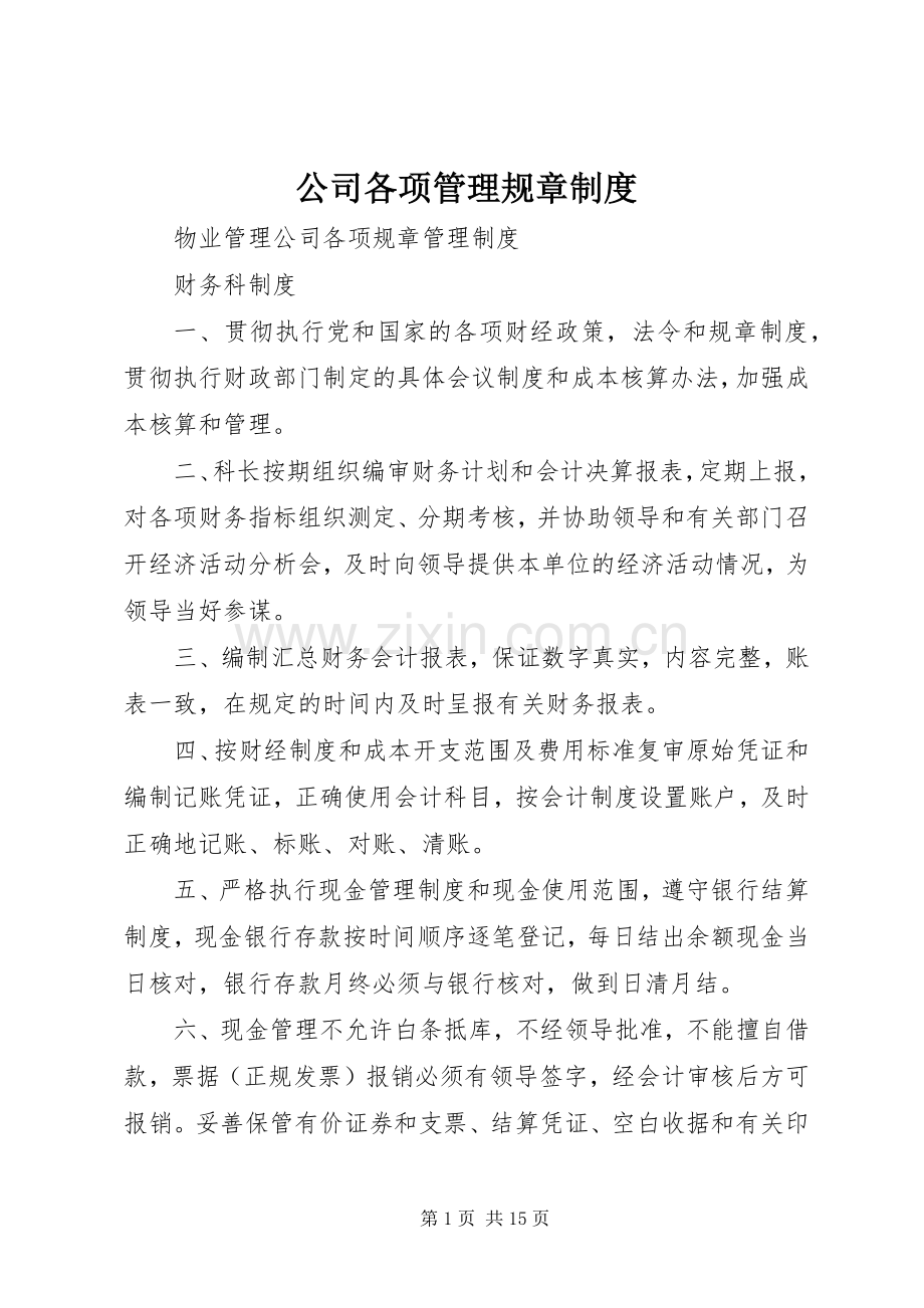 公司各项管理规章规章制度 (2).docx_第1页