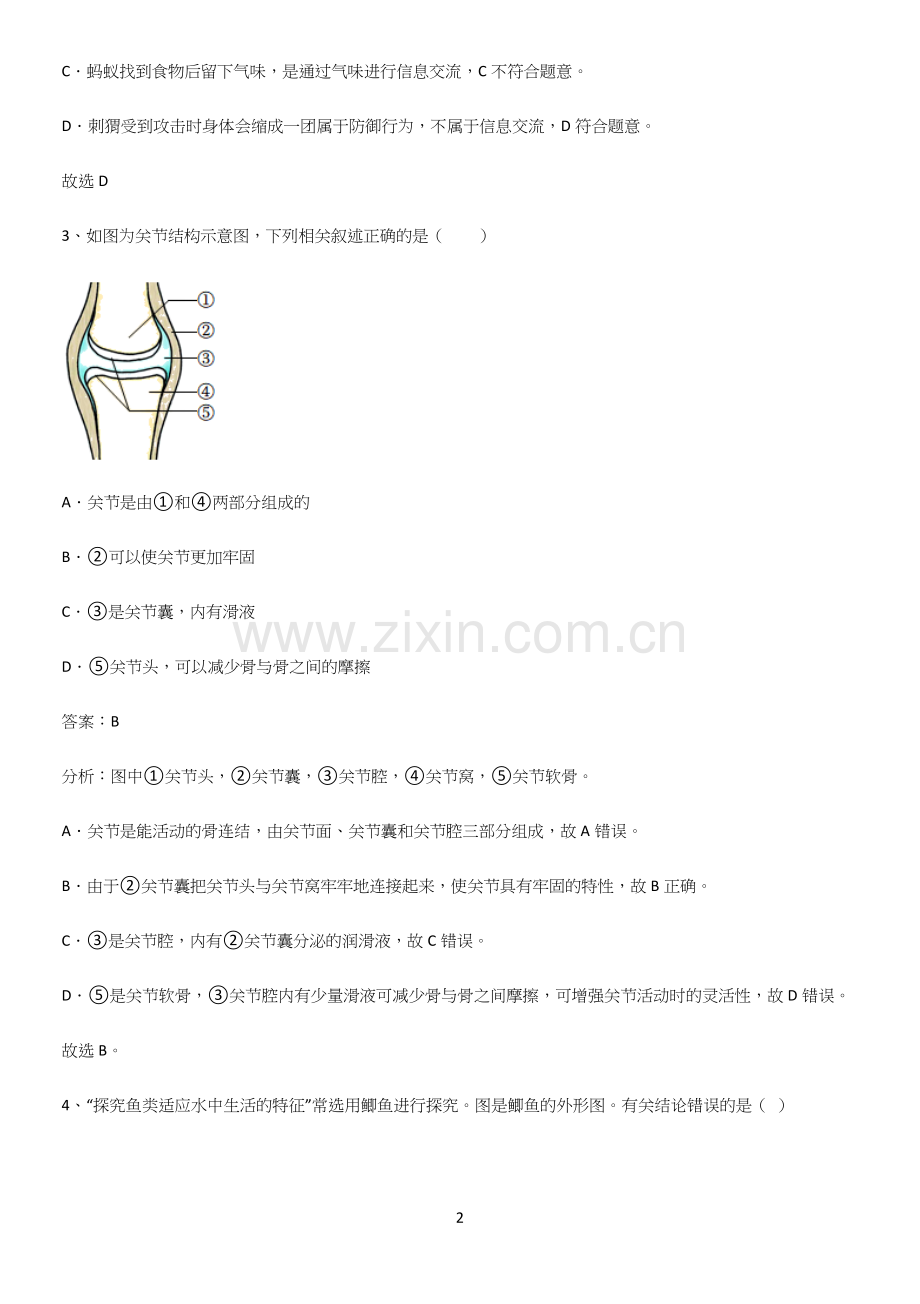 通用版初中生物八年级上册第五单元生物圈中的其他生物知识汇总笔记.docx_第2页