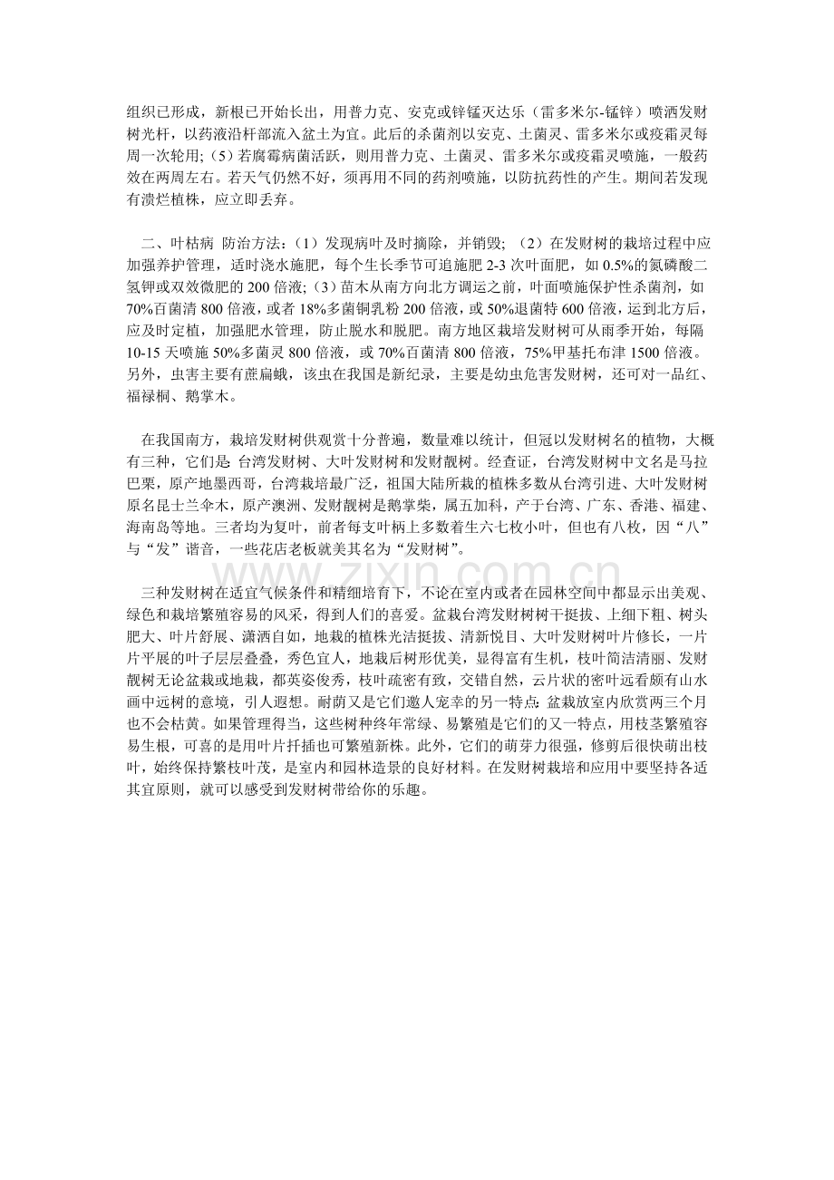 发财树的养殖方法.doc_第2页