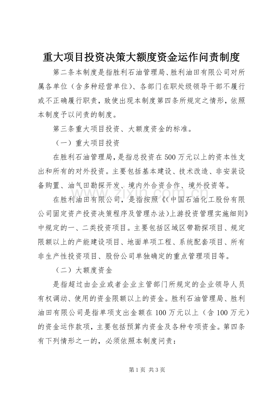 重大项目投资决策大额度资金运作问责规章制度.docx_第1页