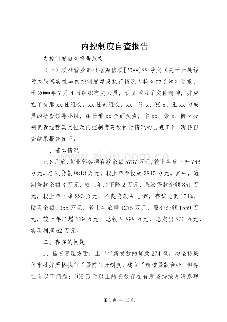 内控规章制度自查报告.docx_第1页