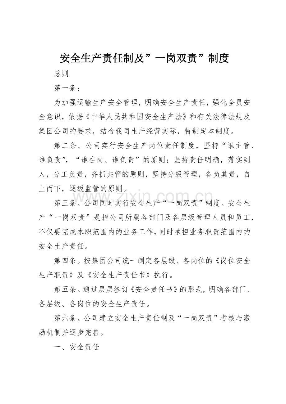 安全生产责任制及”一岗双责”规章制度细则.docx_第1页