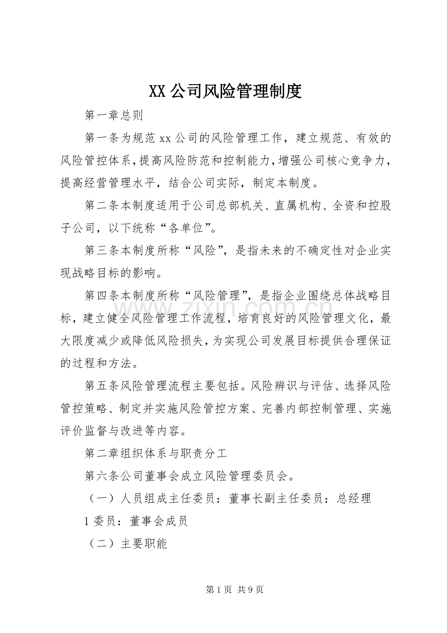 公司风险管理规章制度.docx_第1页