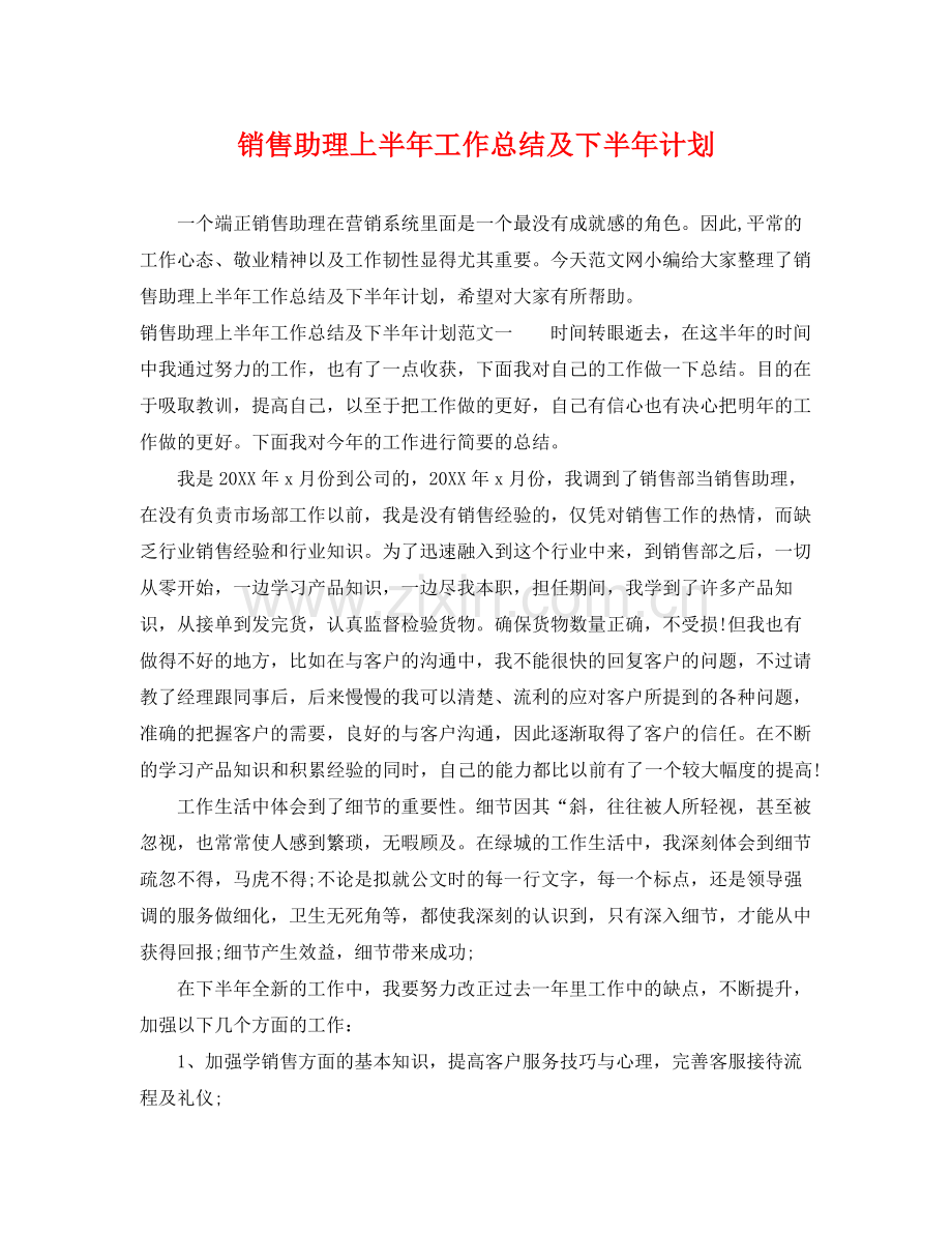 销售助理上半年工作总结及下半年计划 .docx_第1页