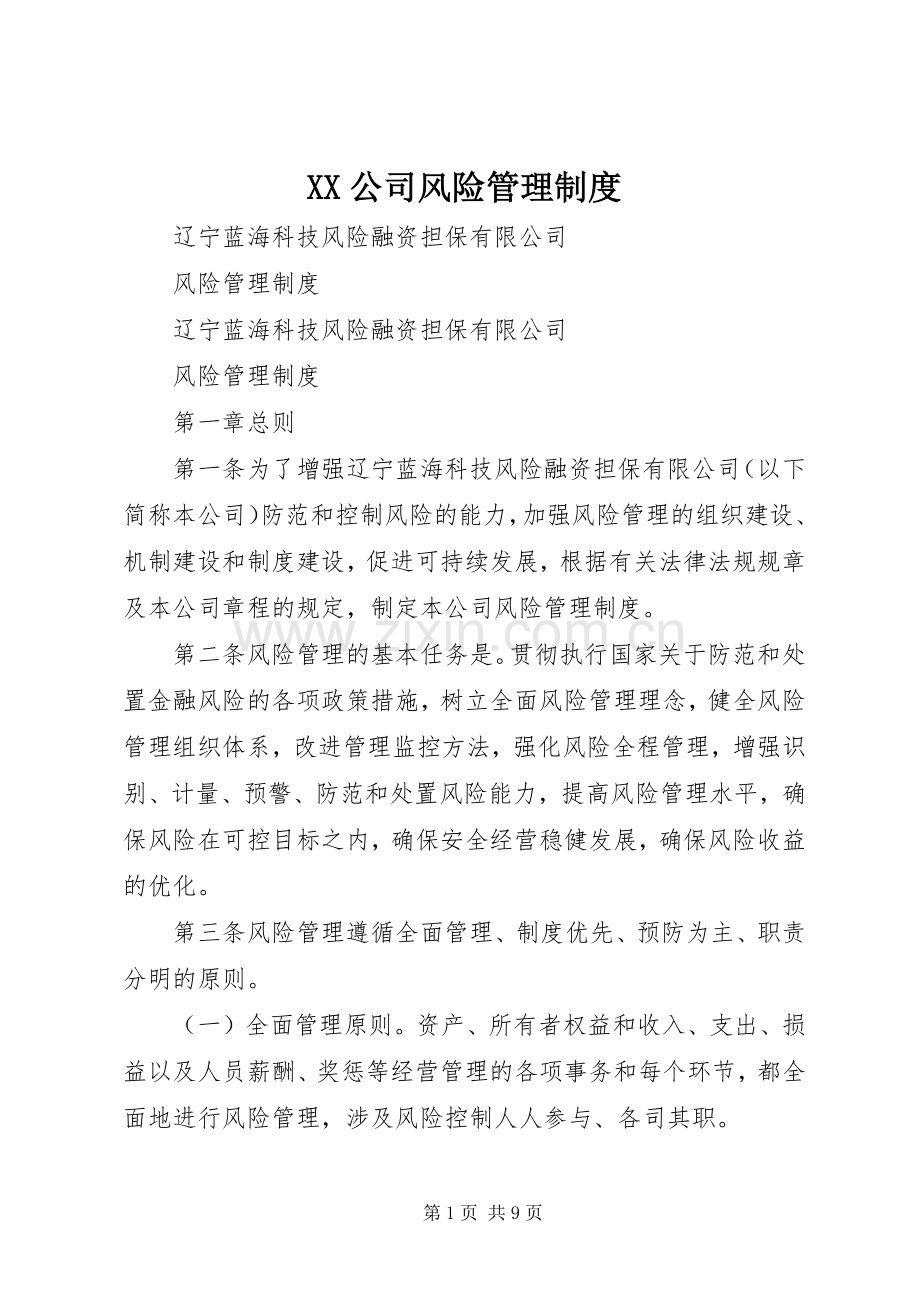 公司风险管理规章制度 .docx_第1页