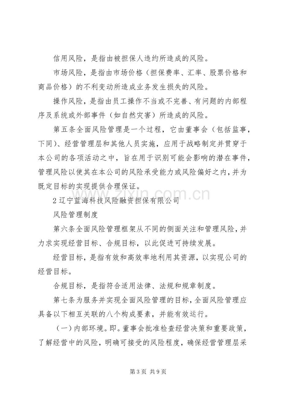 公司风险管理规章制度 .docx_第3页