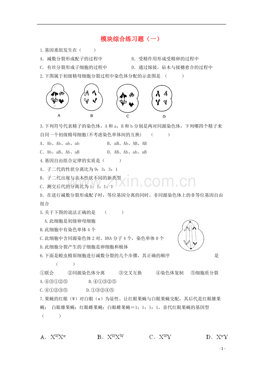 高中生物-模块综合练习题(一)新人教版必修2.doc_第1页