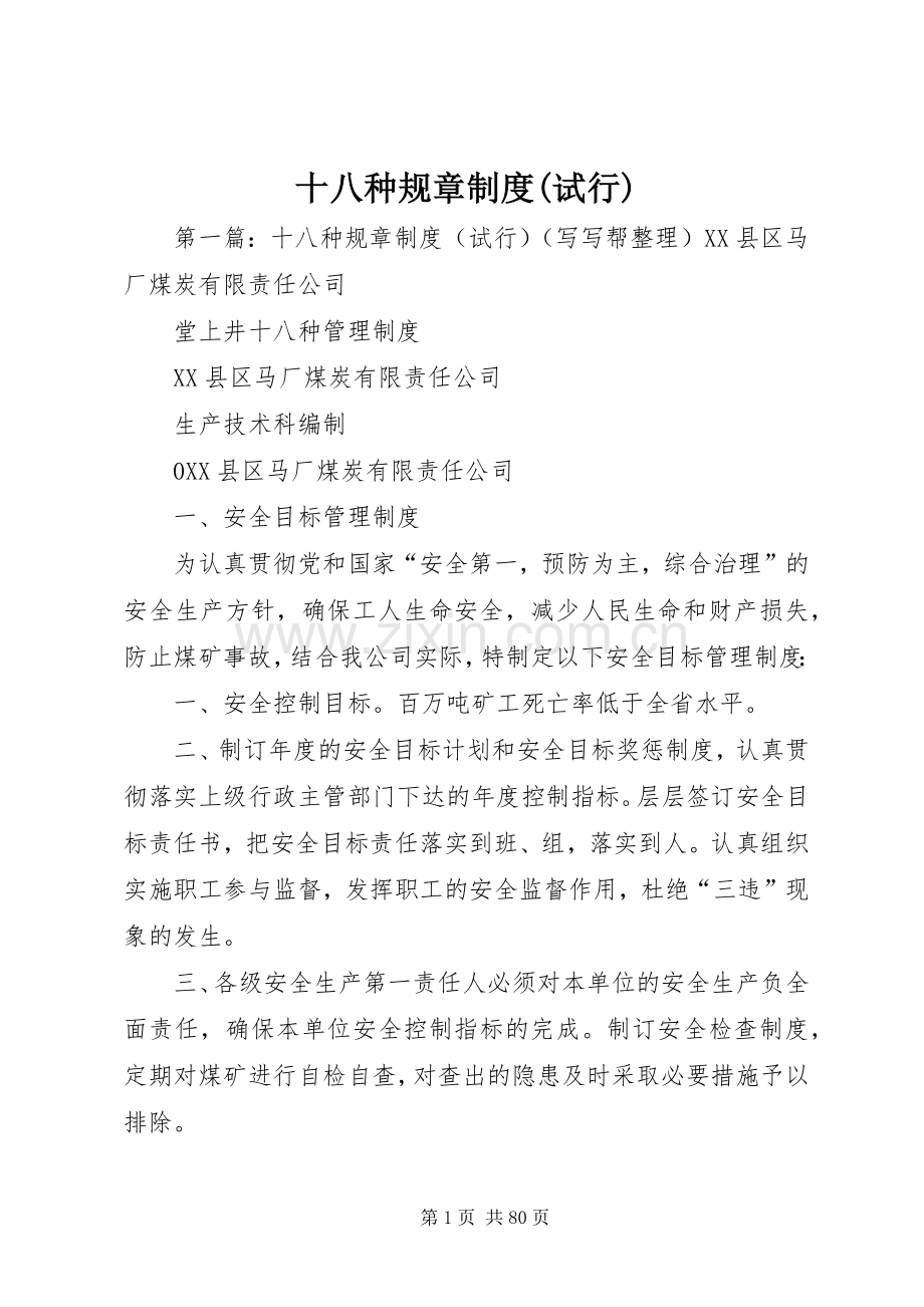 十八种规章规章制度(试行).docx_第1页