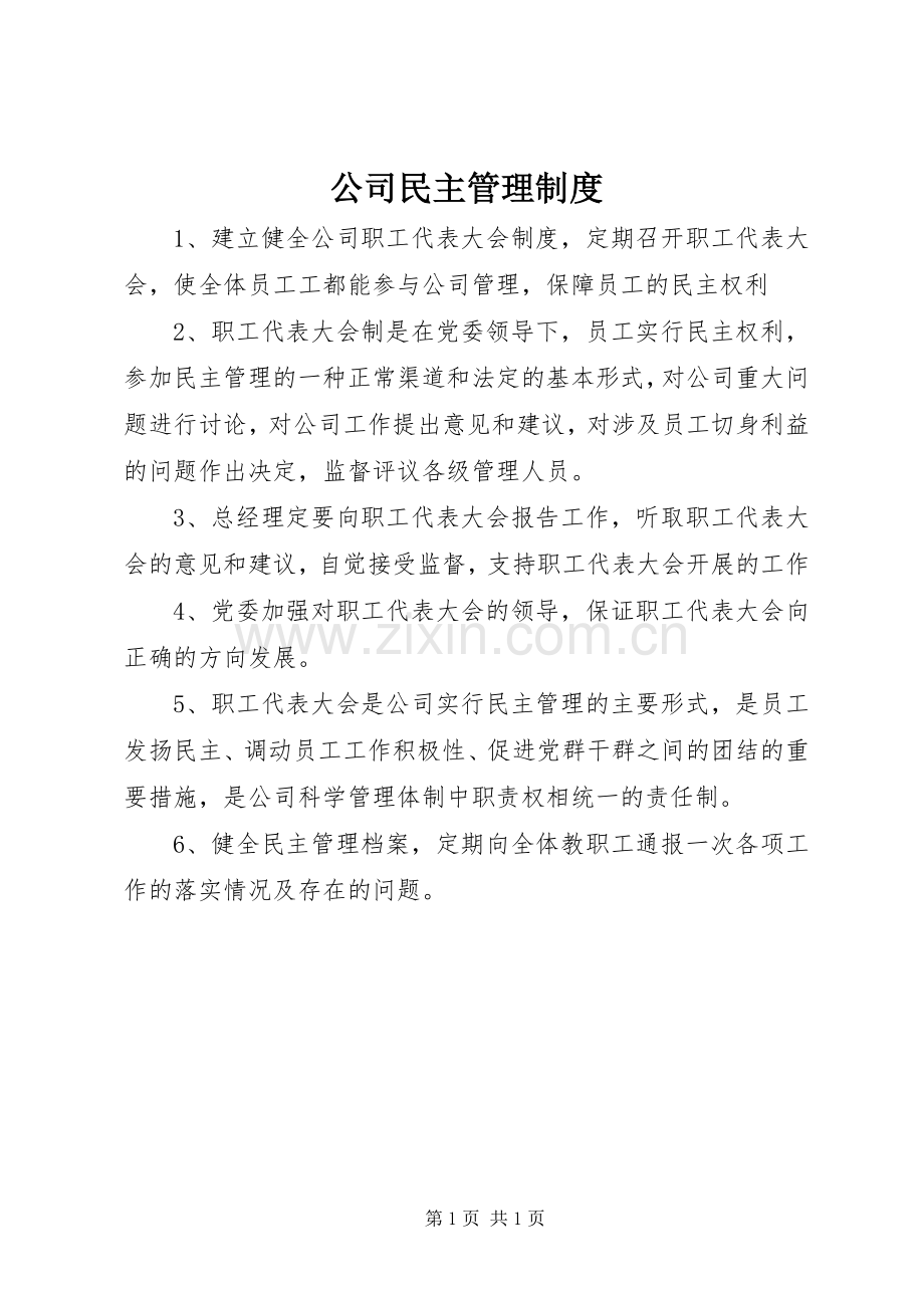 公司民主管理规章制度.docx_第1页