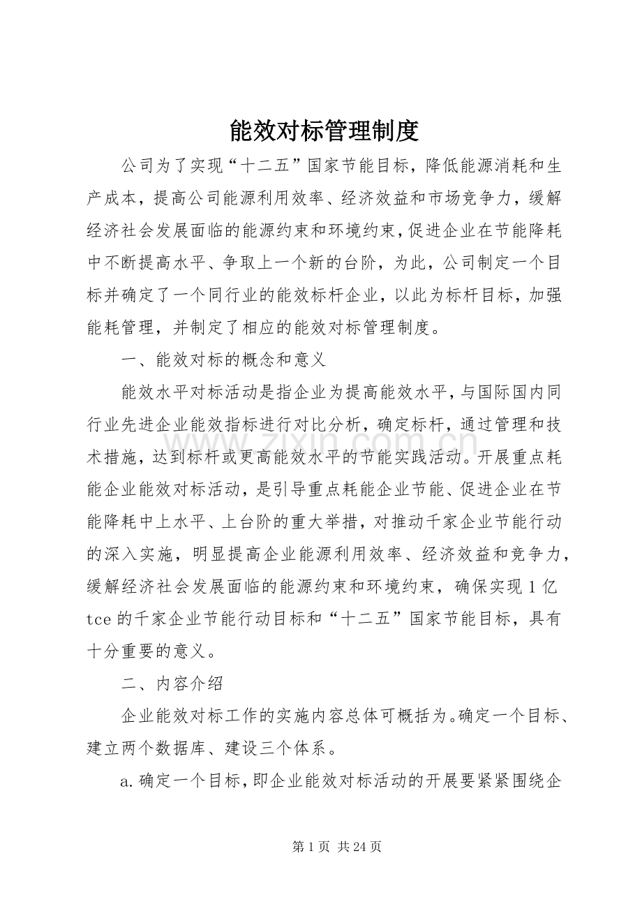 能效对标管理规章制度.docx_第1页