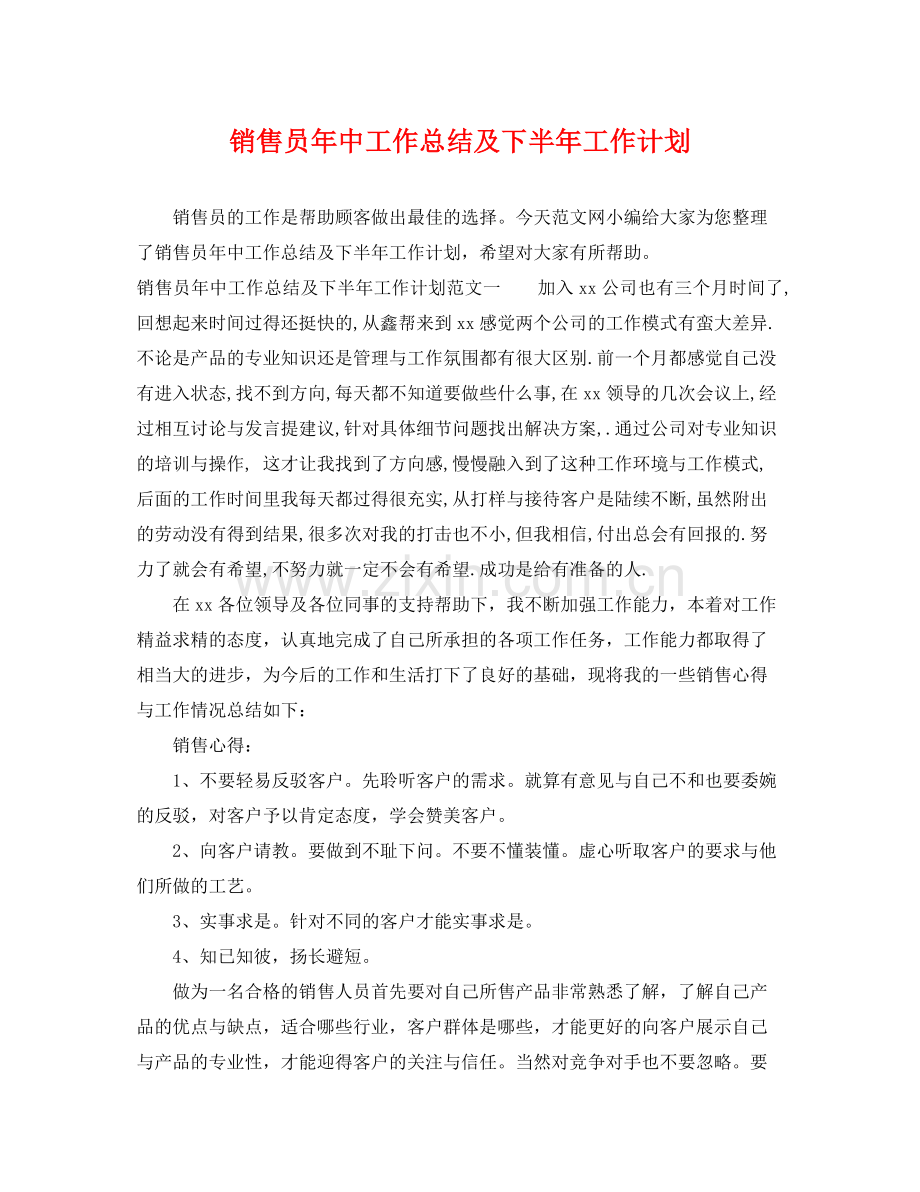 销售员年中工作总结及下半年工作计划 .docx_第1页