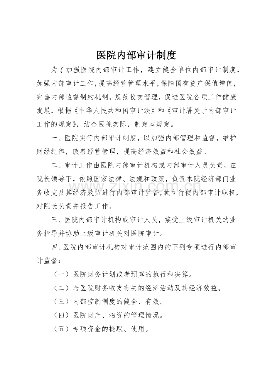 医院内部审计规章制度细则.docx_第1页