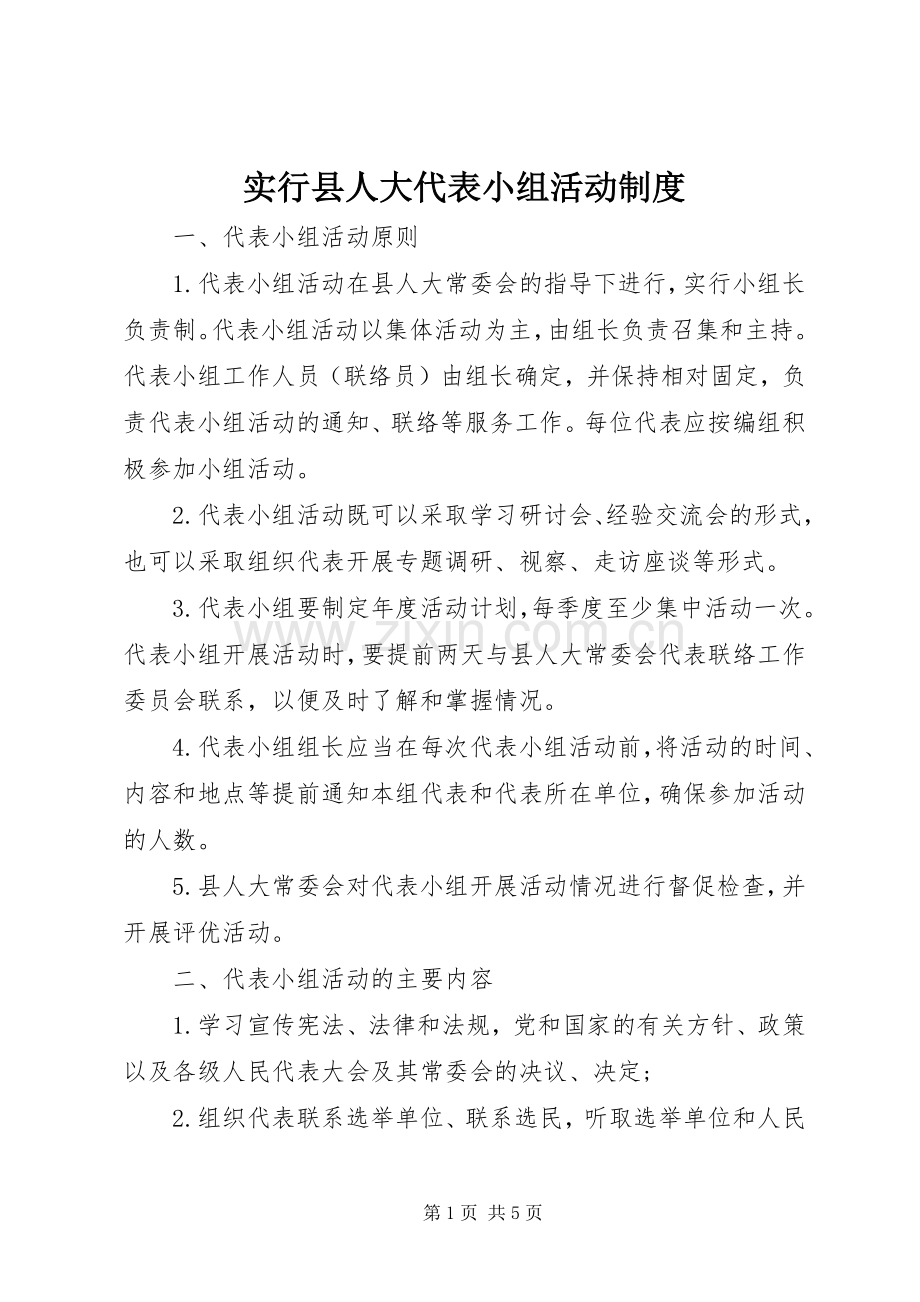 实行县人大代表小组活动规章制度.docx_第1页