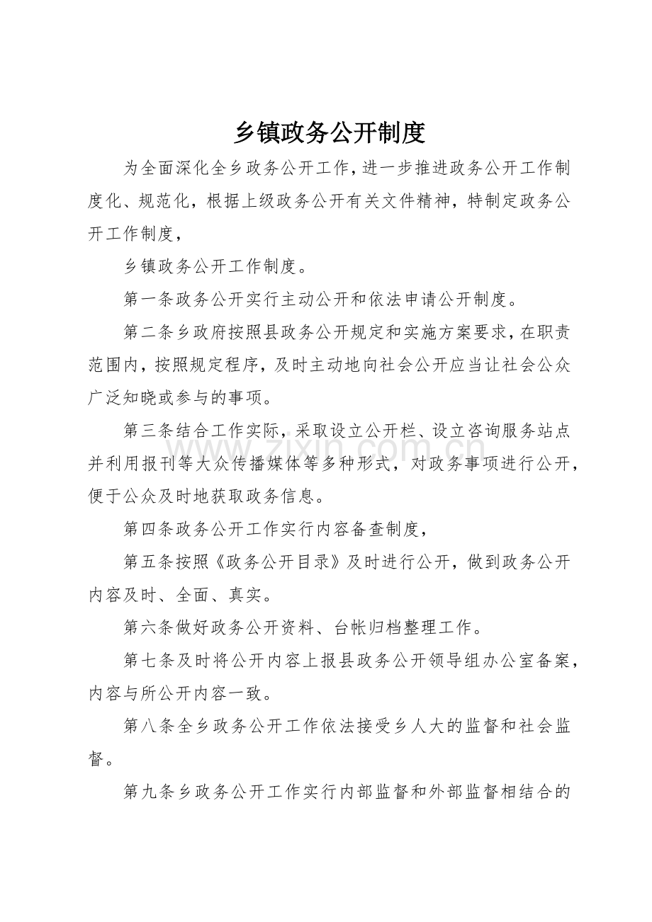 乡镇政务公开规章制度 .docx_第1页