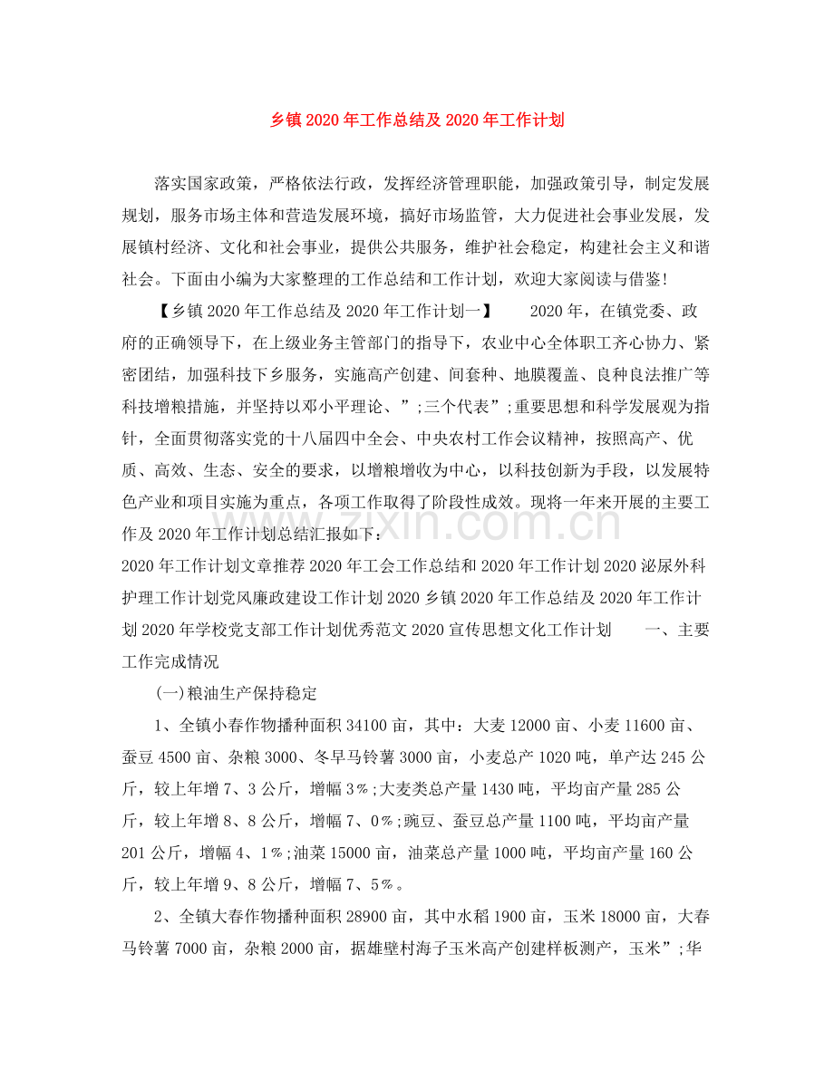 乡镇2020年工作总结及年工作计划 .docx_第1页