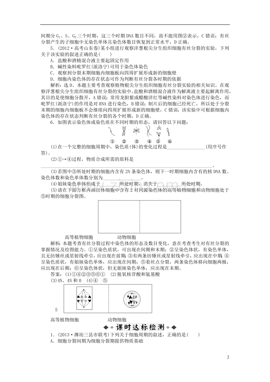 【优化方案】2014届高考生物一轮复习-第六章-第1节-细胞的增殖知能演练强化闯关(含解析)新人教版必修1.doc_第2页