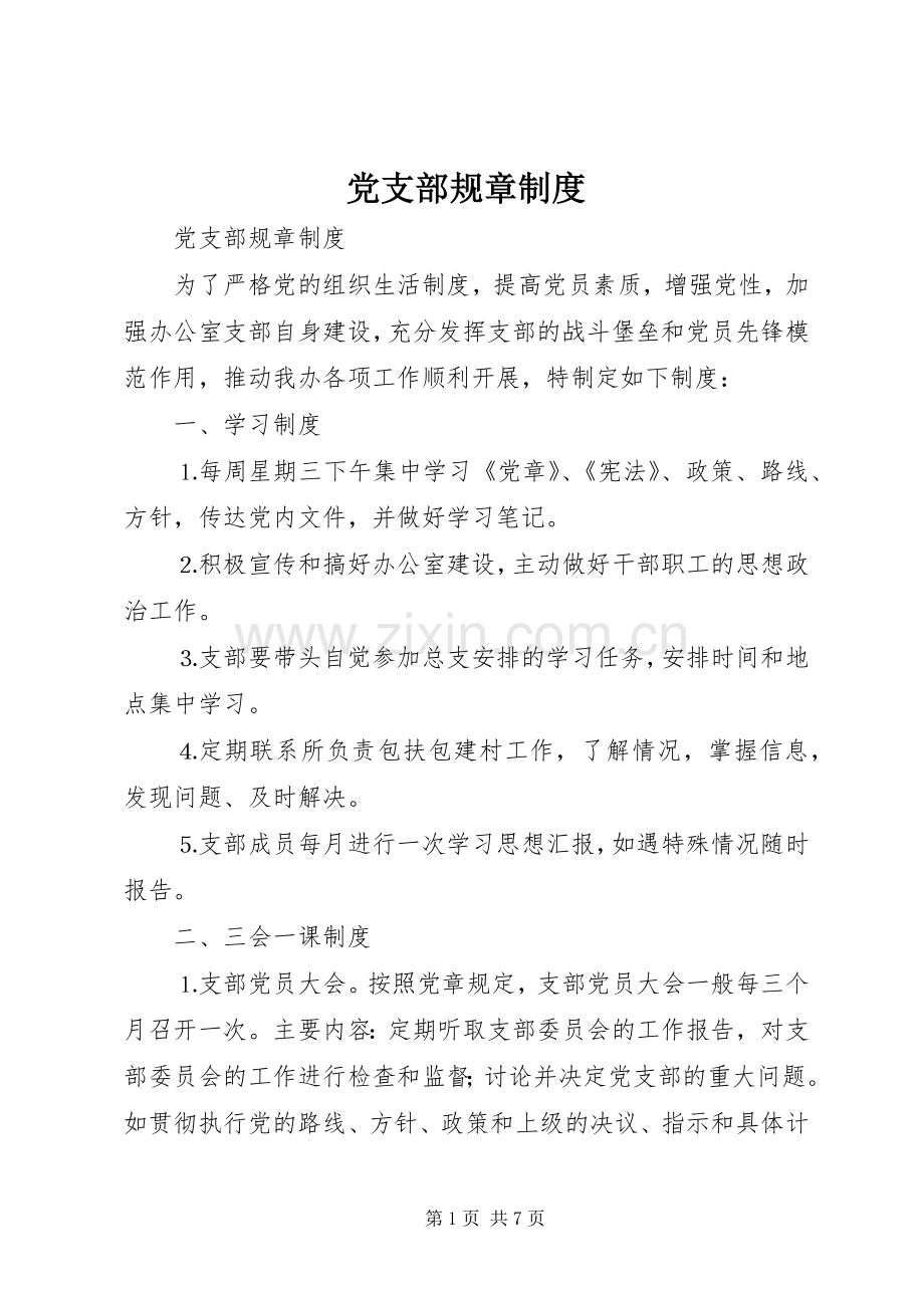 党支部规章规章制度 .docx_第1页